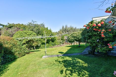 Photo of property in 141 Kakapo Street, Gore, 9710