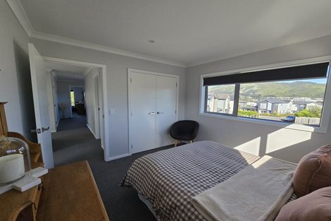 Photo of property in 166 John Burke Drive, Aotea, Porirua, 5024