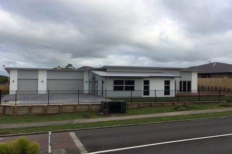 Photo of property in 49 Ritchie Street, Te Aroha, 3320