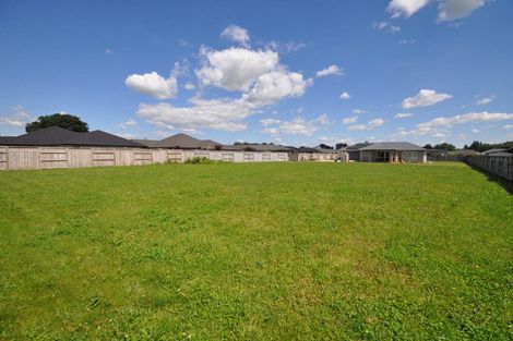 Photo of property in 19 Plescher Crescent, Leamington, Cambridge, 3432