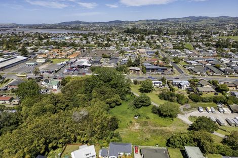 Photo of property in 1191 Cameron Road, Gate Pa, Tauranga, 3112