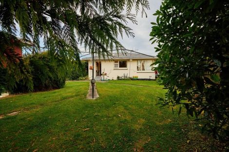 Photo of property in 172 Beach Road, Kaikoura, 7300