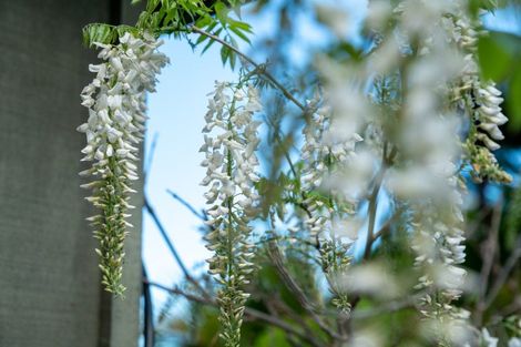 Photo of property in 101 Huia Street, Waikanae, 5391