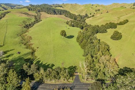 Photo of property in 216 Haruru Road, Kaukapakapa, 0873