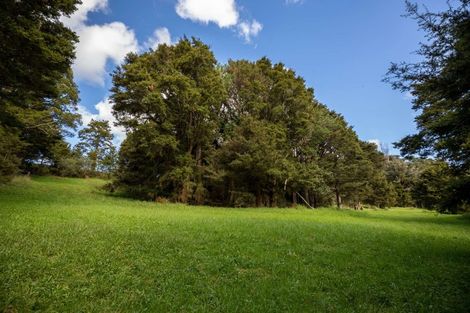 Photo of property in 132 Gibbs Road, Whakapara, Hikurangi, 0182