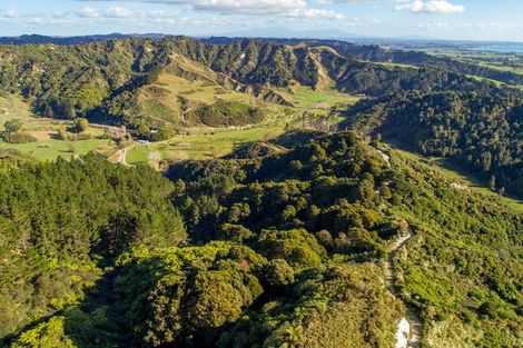 Photo of property in 1177 Mokau Road, Mimi, Urenui, 4379