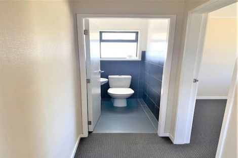 Photo of property in 21 Clivedene Street, Matua, Tauranga, 3110