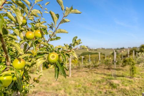 Photo of property in 140 Horton Road, Tasman, Upper Moutere, 7173