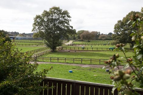 Photo of property in 320 Racecourse Road, Te Awamutu, 3800