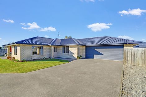 Photo of property in 17a Bowen Street, Rakaia, 7710