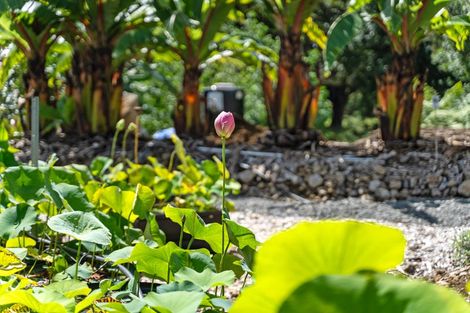 Photo of property in 304 Mangakahia Road, Maungatapere, Whangarei, 0179