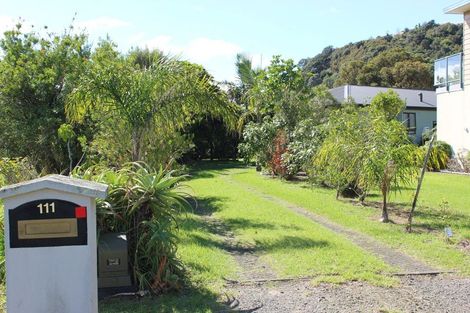 Photo of property in 111 Pinewood Court, Matarangi, Whitianga, 3592