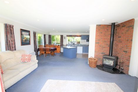 Photo of property in 17 Rowan Place, Mosgiel, 9024