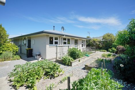 Photo of property in 8 Andrew Street, Rangiora, 7400