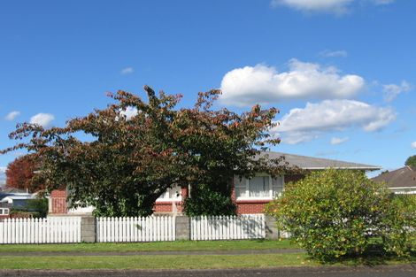 Photo of property in 25 Reservoir Street, Putaruru, 3411