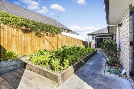 Photo of property in 1 Moonlight Drive, Rototuna North, Hamilton, 3210