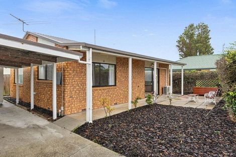 Photo of property in 27d Oxford Street, South Dunedin, Dunedin, 9012