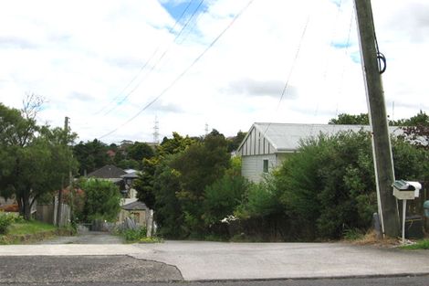 Photo of property in 61 Webster Avenue, Mount Roskill, Auckland, 1041
