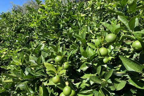 Photo of property in 15 Tarahunga Road, Levin, 5571