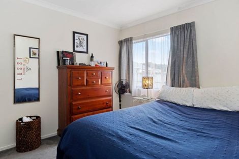 Photo of property in 49 Solomon Street, Brookfield, Tauranga, 3110