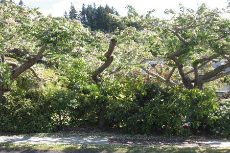 Photo of property in 3 Ewing Grove, Acacia Bay, Taupo, 3330