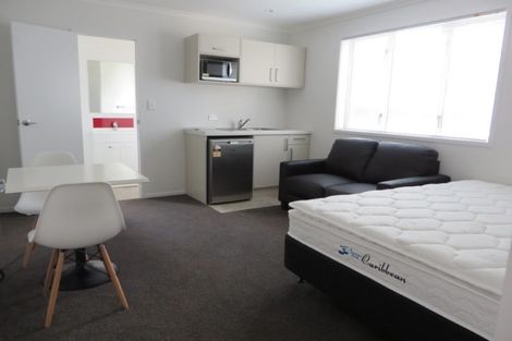 Photo of property in 3/30 Hunter Street, Hamilton Lake, Hamilton, 3204