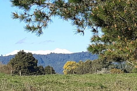 Photo of property in 24 Hapa Road, Kakahi, 3989