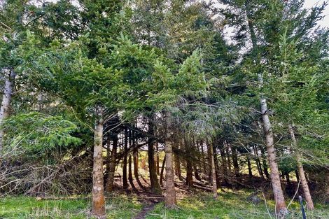 Photo of property in 88 Maytown Road, Waimate, 7978