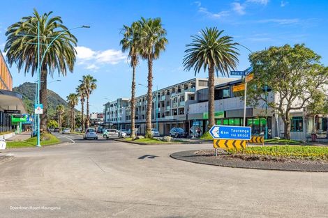 Photo of property in 3d Matai Street, Mount Maunganui, 3116