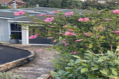 Photo of property in 65 Hebron Road, Waiake, Auckland, 0630