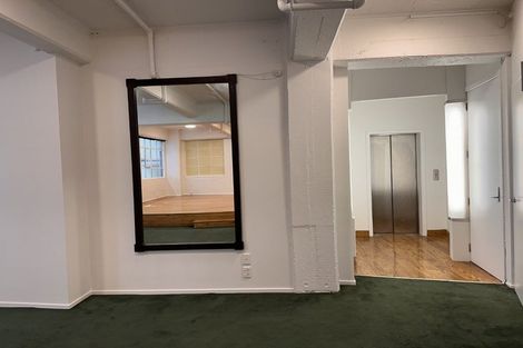 Photo of property in 6c Halleys Lane, Te Aro, Wellington, 6011