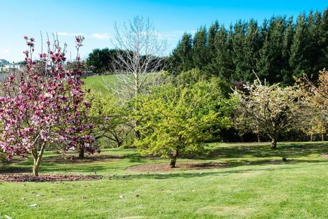 Photo of property in 130 Margaret Avenue, Havelock North, 4130
