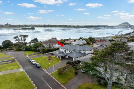 Photo of property in 79 Fifth Avenue, Tauranga, 3110