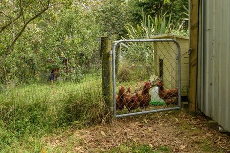Photo of property in 101 Turntable Hill Road, Whakamarama, Katikati, 3181