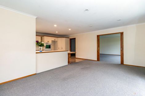 Photo of property in 39a Mckenzie Street, Geraldine, 7930