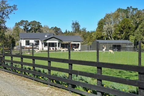 Photo of property in 288 Oropi Gorge Road, Oropi, Tauranga, 3173