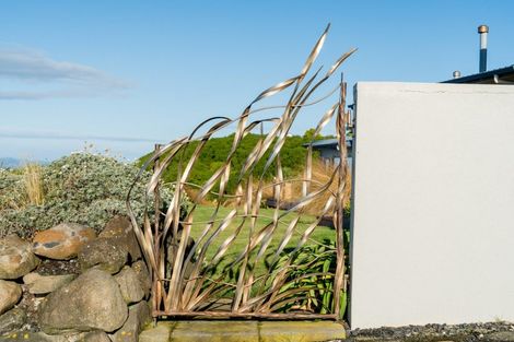 Photo of property in 25 Highgrove, Saint Clair, Dunedin, 9012