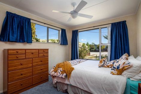 Photo of property in 155 Tarbert Street, Alexandra, 9320