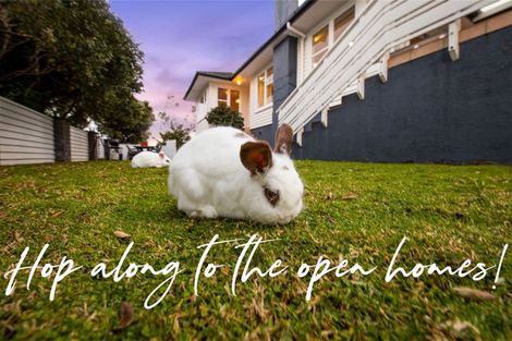 Photo of property in 2/46 Monarch Avenue, Hillcrest, Auckland, 0627