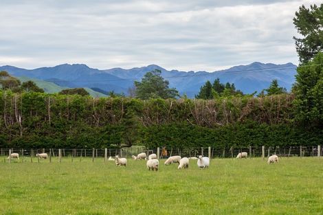 Photo of property in 349 Norfolk Road, Waingawa, Carterton, 5791