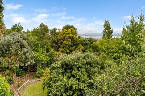 Photo of property in 52 Stansell Avenue, Tahunanui, Nelson, 7011