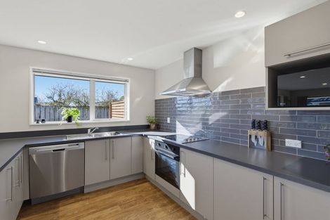 Photo of property in 17a Bowen Street, Rakaia, 7710