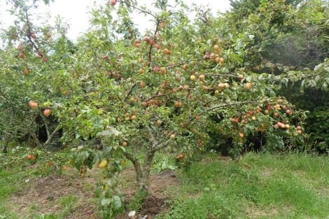 Photo of property in 660 Taylorville Road, Taylorville, Greymouth, 7805