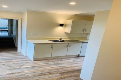 Photo of property in 45 Scarba Street, Roslyn, Dunedin, 9010