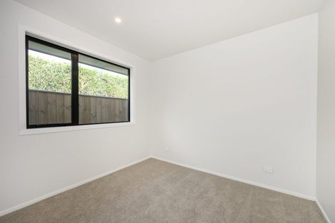 Photo of property in 10c Limbrick Street, Terrace End, Palmerston North, 4410