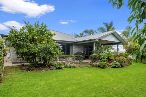 Photo of property in 13 Parkland Rise, Omokoroa, 3114