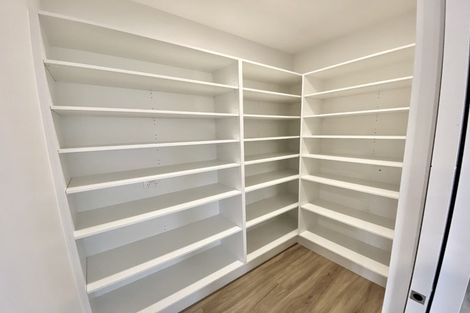 Photo of property in 81 Nethercote Way, Rolleston, 7614