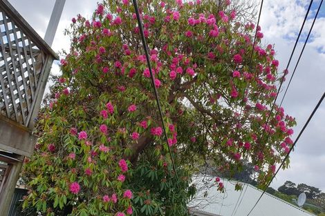 Photo of property in 9 Owen Street, Newtown, Wellington, 6021