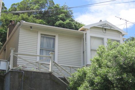 Photo of property in 129 Elizabeth Street, Mount Victoria, Wellington, 6011