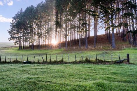 Photo of property in 802 Whareora Road, Whareora, Whangarei, 0175